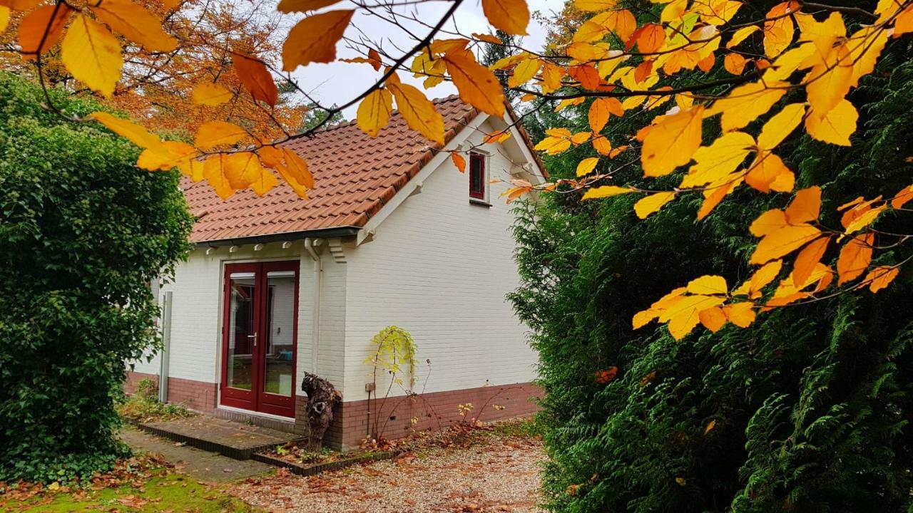 Dennenhuis Vaassen Екстериор снимка
