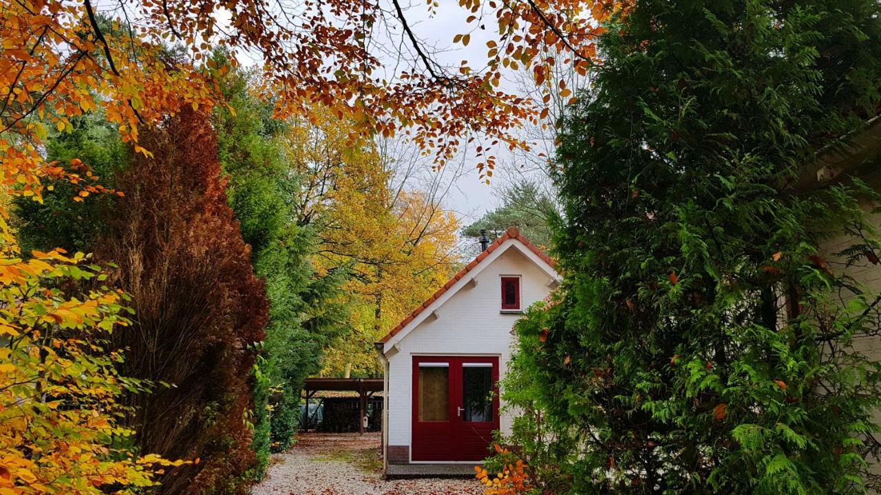 Dennenhuis Vaassen Екстериор снимка